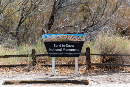 An entrance road going in Palm Spring, Californiaのeditorial素材