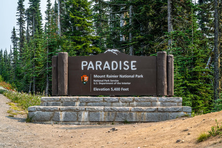 An entrance road going to Mt Rainer NP. Washingtonのeditorial素材