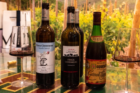 Tasting in a boutique Wine store in LogroÃ±o in the Rioja PDOのeditorial素材