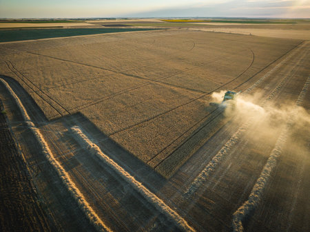 combine harvester working over corn field from aerial point of viewのeditorial素材