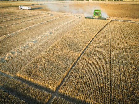 combine harvester working over corn field from aerial point of viewのeditorial素材