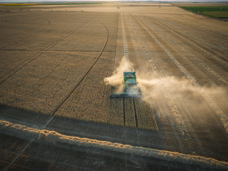 combine harvester working over corn field from aerial point of viewのeditorial素材