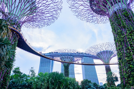 Singapore City, Marina Bay Sands and Gardens by the Bay trees.のeditorial素材