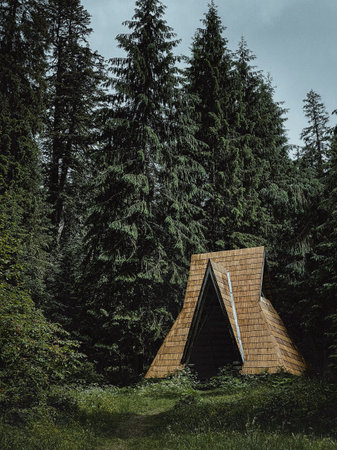 Forest hut in pine forestのeditorial素材