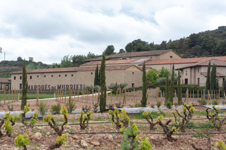 Vineyards in the La Rioja region of Spain in 2021のeditorial素材