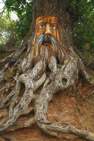 10/03/2022 Parauta,Malaga , enchanted forestのeditorial素材