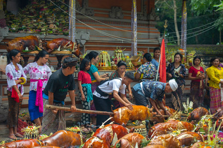 Usaba Sumbu ceremony in Pura Dalem Desa Timbrah.のeditorial素材