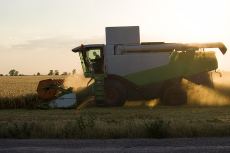 The concept of planting and harvesting a rich harvest.のeditorial素材