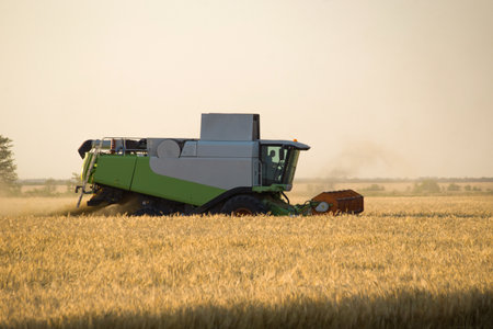 The harvester is working at sunset in the fieldのeditorial素材