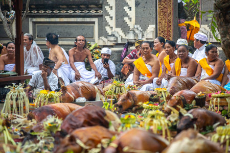 Usaba Sumbu ceremony in Pura Dalem Desa Timbrah.のeditorial素材