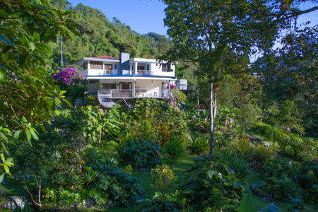 house on the beach, Holiday house in the woodsのeditorial素材