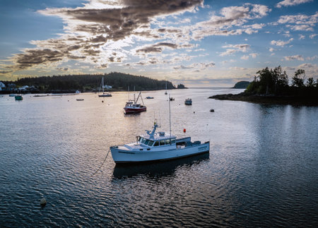 Lobster boats moored in beautiful Cutler Harbor, Maine at sunriseのeditorial素材