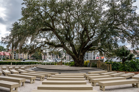 A legendary magnificent moss-draped oaks in Hilton Head Island,のeditorial素材
