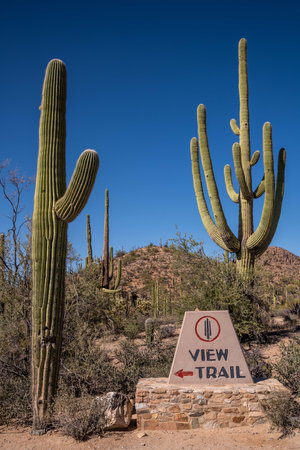 A description board for the trail in Saguaro NP, Arizonaのeditorial素材