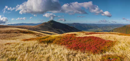 View on a colorful righe in Carpathians in autumn