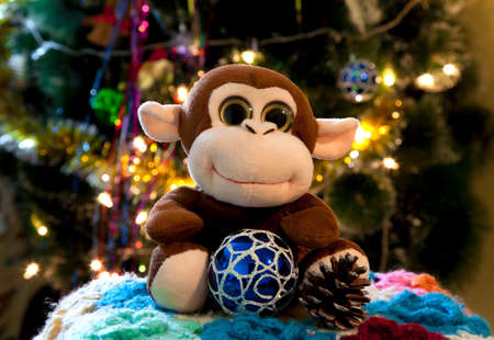 monkey