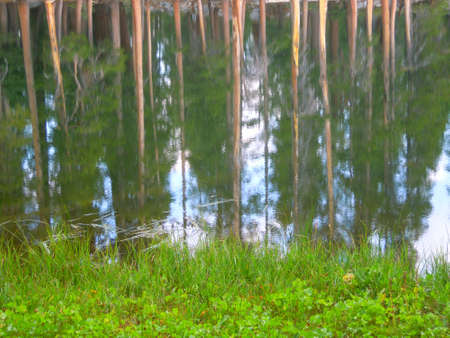 Gleam of trees in a montain lakeの写真素材