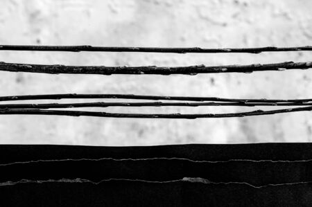Abstract horizontal black and white lines made with twigs and paper.の写真素材