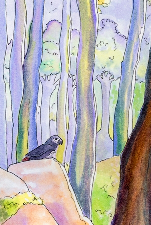 Original watercolor painting of an African Grey parrot in a woodland landscape.の写真素材