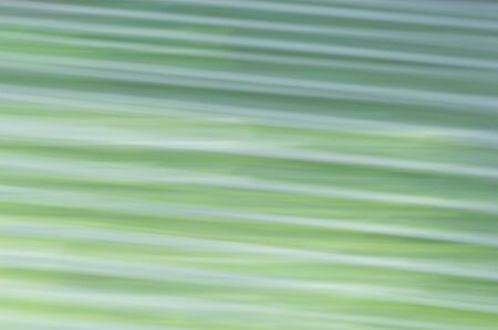 Blurred abstract background. Pastel purple, green and white lines.の写真素材