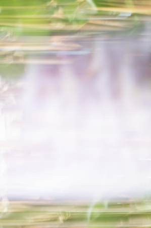 Blurred abstract background. Hot spring ethereal landscape concept.の写真素材