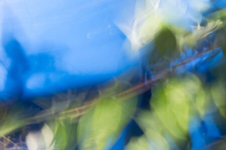 Blurred abstract background. Leaves and sky concept,  painted effect.の写真素材