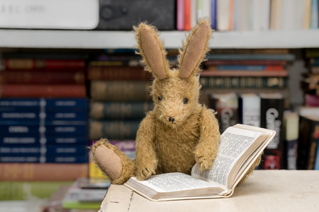 Vintage toy bunny rabbit reading a book in front of a blurred background of books on shelves. Studying, reading concept.の写真素材