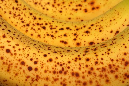 three rotten bananasの写真素材