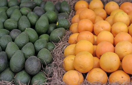 avocados and orangesの写真素材