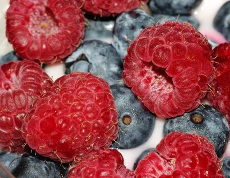 Berriesの写真素材