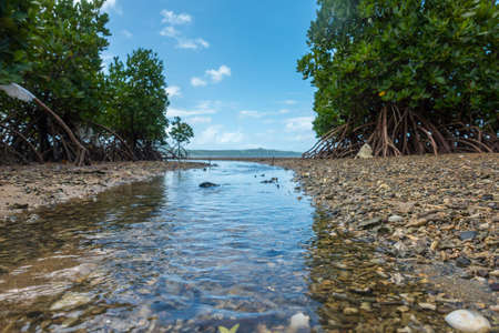 waterwayの写真素材