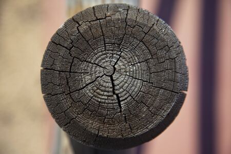 wooden ringsの写真素材