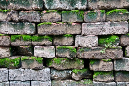 The Brick wall with moss textureの写真素材