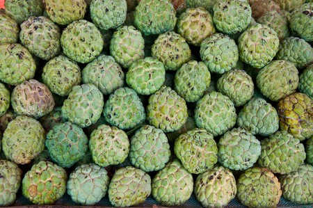 The Custard appleの写真素材