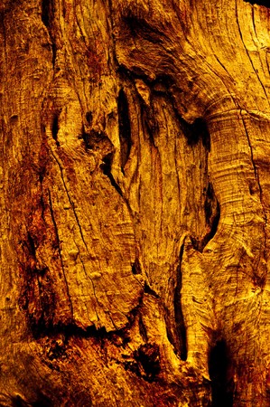 The Wood textureの写真素材