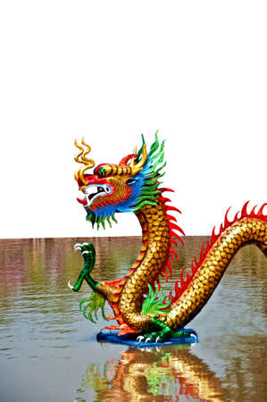 The Colorful of dragon on water backgroundの写真素材