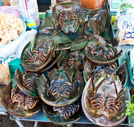 The Horseshoe of seafood marketの写真素材