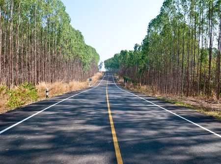 The Road