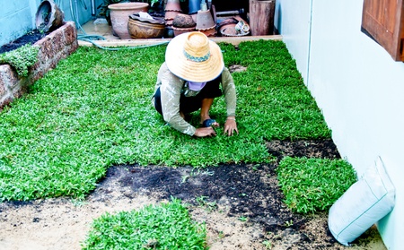 The Gardener prepare grassのeditorial素材
