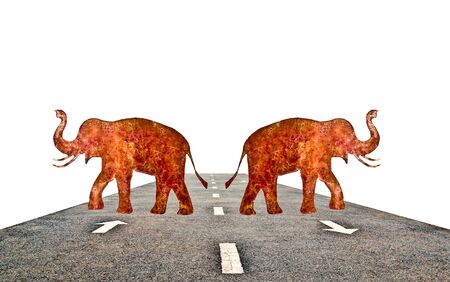 The Steel sheet of elephantの写真素材