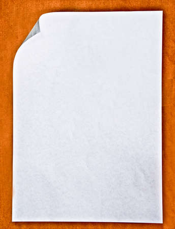 The Blank of  white paperの写真素材