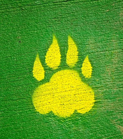 The Footprint of animalの写真素材