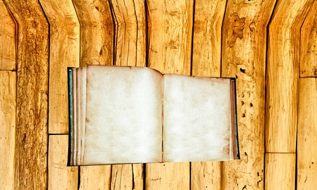 The Vintage blank book isolated on wood background 