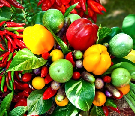 The Colorful of chili with vegetablesの写真素材