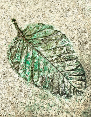 The Leaf imprint in concreteの写真素材