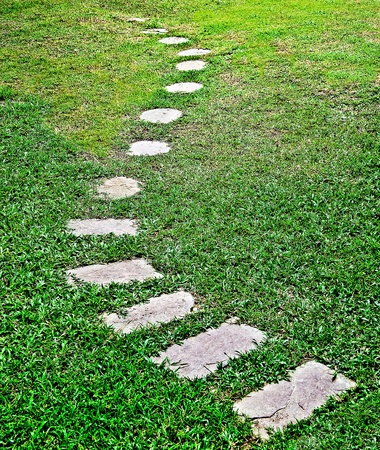 The Stone block walk path in the park with green grass backgroundの写真素材