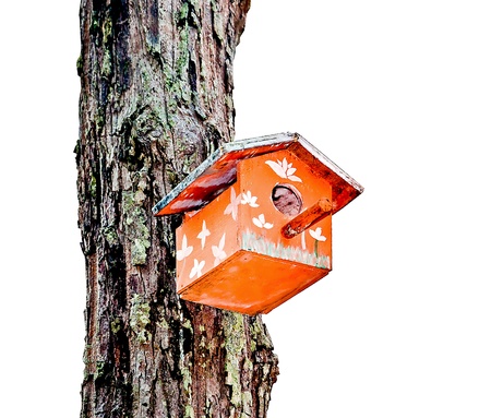 The Wooden of birdhouse on treeの写真素材