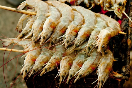 The Shrimp grilled on charcoal ovenの写真素材