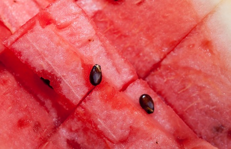 The Close up water melonの写真素材