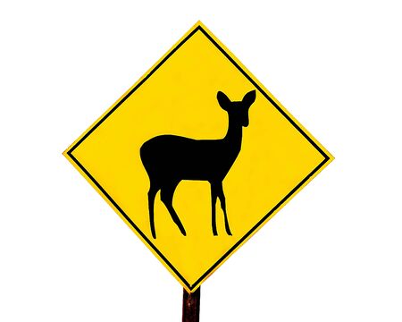 The Signpost of deer isolated on white backgroundの写真素材